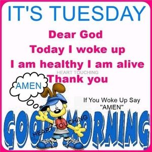 Meet your Posher, Kofi